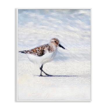 Imagem de Stupell Industries Blue Coast Sandpiper Painting White Framed Giclee Art Design por Denise Brown, 40 x 50 cm