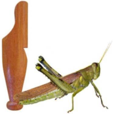 Imagem de Apito Grilo Apito Modelo 23 Profissional Chama Outros Animais Aves