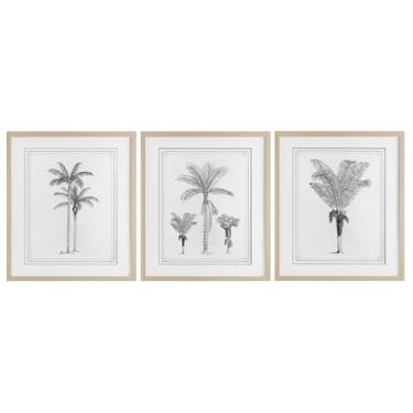 Imagem de Stupell Industries Minimal Vintage Palm Tree Sketches 3 peças Impressão emoldurada de bétula sob o vidro, design por Lettered and Lined, 21 x 17