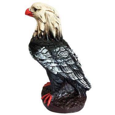 Imagem de Águia Soberana Grande De Sala Sabedoria E Prosperidade