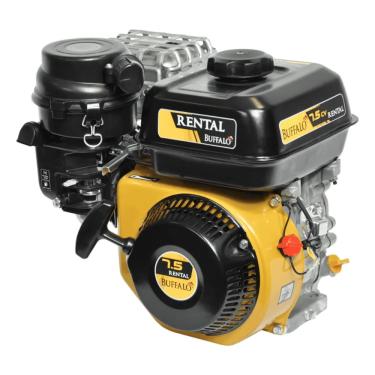 Imagem de Motor Gasolina Buffalo BFG 7.5 Rental 7,5CV 4T Partida Manual Eixo 3/4 Profissional