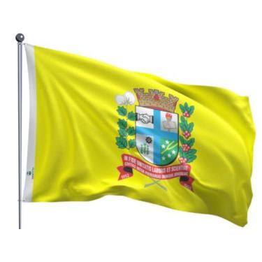 Imagem de Bandeira do Município de Paranavaí Dupla Face Estampada Tamanho 90x128