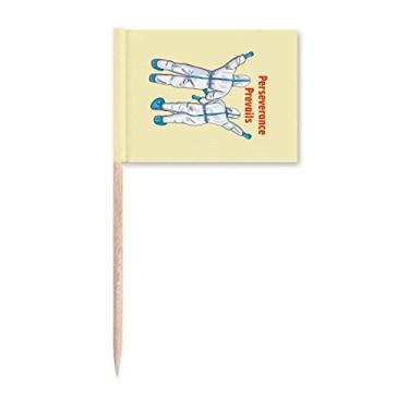 Imagem de Bandeiras de palito de dente Conquer Disease Triumph Over Illness Marcador Topper Decoração de festa