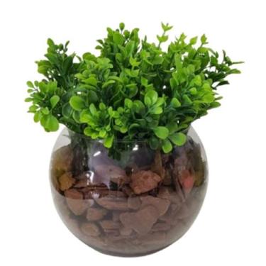 Imagem de Arranjo Terrário de Vidro Verde Bambo Folhagem Realista - La Caza Stor