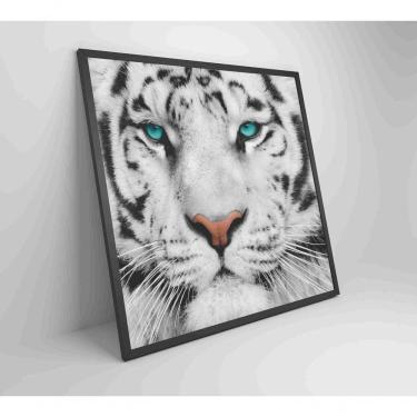 Imagem de Quadro Tigre Branco Medidas 60x60 Cm Impressão Vidro Acrílico