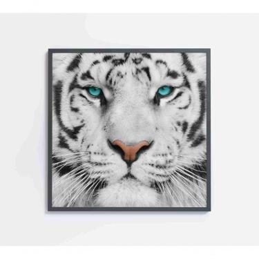 Imagem de Quadro Tigre Branco Medidas 40x40 Cm Impressão Vidro Acrílico