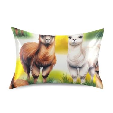 Imagem de Fronha de cetim linda estampa floral refrescante padrão Queen King fronha para cama de casa sofá tamanho queen 76.2 cm x 50.8 cm aquarela linda grama lhamas