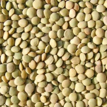 Imagem de Lentilha Comum - 5kg - N4 NATURAL