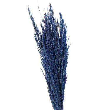 Imagem de Planta Seca Capim Arroz do Cerrado Azul - Pense Flores