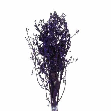 Imagem de Dedo De Anjo Roxo Flor Desidratada Buque Flores Secas - Pense Flores