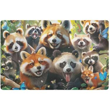 Imagem de TSENQUE Tapete personalizado de urso guaxinim com animais coloridos, capacho fofo, entrada interna, tapetes impermeáveis para entrada de casa, 81 cm x 50 cm