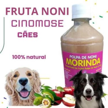 Imagem de Cinomose Polpa da fruta Noni Orgânico Natural Frasco 500ml