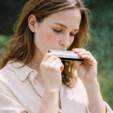 Imagem de Gaita de metal para adultos, C-Key 10 furos instrumentos musicais Kazoo pacote companheiro para violão, violino, piano, teclado, ukulele, para festa de Natal, presente