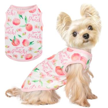 Imagem de Camiseta de cachorro colete roupas para cães pequenos meninos meninas camisetas elásticas de verão para filhotes de cachorro macio respirável leve moletom para filhotes (pêssego, grande)