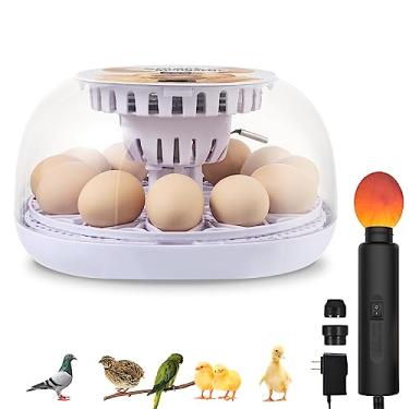 Imagem de Incubadora de 12 ovos de galinha para chocar ovos com giro automático, Incubadora de Huevos Automatica, Incubadora de 24 ovos de codorna