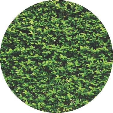 Imagem de Painel Redondo 3D Sublimado Muro Inglês Frd-004