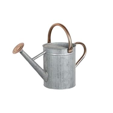 Imagem de Ｂｅｓｇａ Regador de plantas com bico removível, cabo de aço inoxidável, decoração multiuso, pega confortável, pulverizador fino, reutilizável, 4l