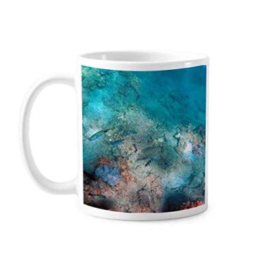 Imagem de Oceano colorido peixe ciência imagem natureza caneca cerâmica café porcelana xícara louça