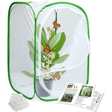 Imagem de RESTCLOUD Insect and Butterfly Habitat Cage Terrarium Pop-up 24 Inches Tall with 10Pcs 10ML Floral Tubes