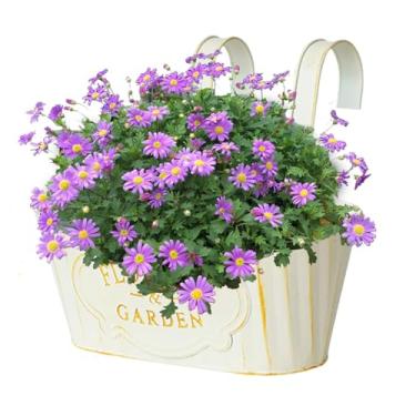 Imagem de Caixas de flores para trilhos, plantador sobre a grade | Caixas de flores suspensas de metal para varanda de jardim externo, vasos de plantas de casa de janela