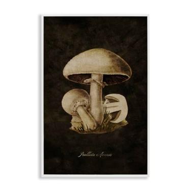 Imagem de Stupell Industries Arte de parede giclée emoldurada de estudo de cogumelo Portobello por Tina Higgins Designs, Inc., moldura branca, 50 x 76 cm
