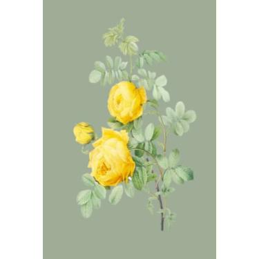 Imagem de Dotted Journal | Botanical Floral Illustration, 6x9 inch, 0.5mm Dot Grid, 160 Pages Dotted Bullet Hardcover Notebook