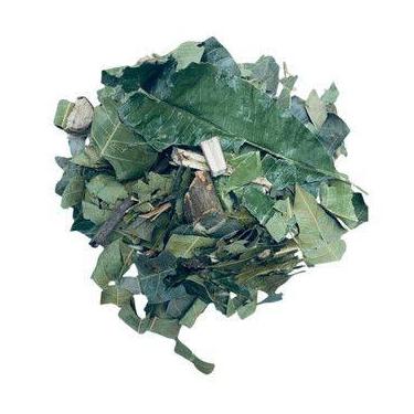 Imagem de Folha de Algodão 100g (Erva Desidratada) - Magnata das Ervas