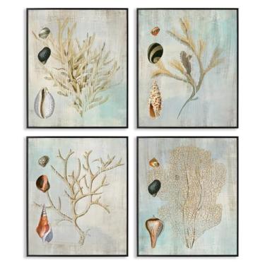 Imagem de Stupell Industries Ramos de coral com várias conchas do mar, conjunto de arte giclée emoldurado preto de Susan Arnot, 28 x 35 cm