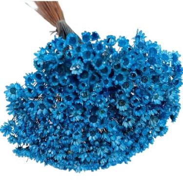 Imagem de Buquê de 300 Flores Secas Sempre Viva Mosquitinho – Mini Florzinhas Naturais para Arranjos e Decoração(Azul)