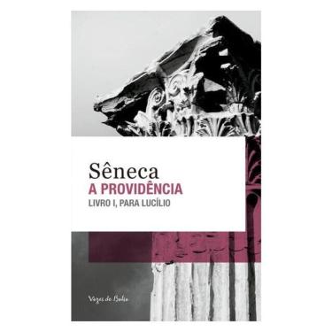 Imagem de A Providência - Ed. Bolso