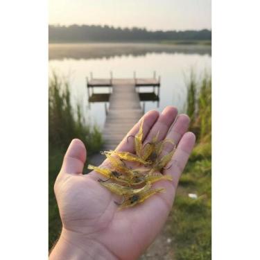 Imagem de Kit 10 Iscas Camarão Silicone Aromatizado 4cm P/ Pesca - Congratulatio