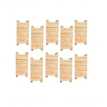 Imagem de 10 Caixas Impa Abelhas Sem Ferrão Eucalipto 12X12