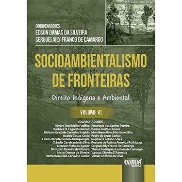 Imagem de Socioambientalismo de Fronteiras - Volume VI - Direito Indígena e Ambiental