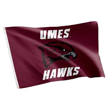 Imagem de Desert Cactus University of Maryland Eastern Shore UMES Hawks 100% poliéster para ambientes internos e externos bandeira de 0,9 m x 1,5 m (estilo 1)
