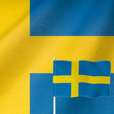 Imagem de YongFoto Bandeira da Suécia 0,8 x 1,2 m Serapilheira Dupla Face Bandeira Nacional Sueca Quatro Lados Costurada Brilhante Cor Viva Durável Resistente a UV Resistente ao Desbotamento À Prova de