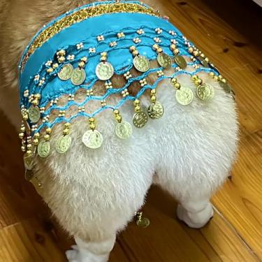 Imagem de CHOWONE Saia de dança do ventre para cães, cortina de quadril com corrente de cintura, roupas para cães Corgi estilo dança do ventre com lantejoulas, roupas de dança para cães de cachorro (azul lago)