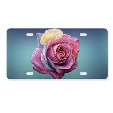 Imagem de Placa de carro rosa escuro para decoração de carro, acessório de aço inoxidável