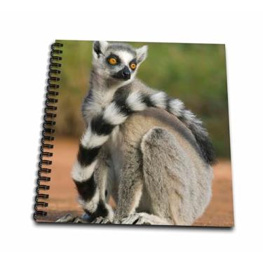 Imagem de 3dRose db_72864_1 Livro de desenho com régua de cauda, Berenty Reserve, Madagascar-AF24 KSC0011-Kevin Schafer-, 20 x 20 cm