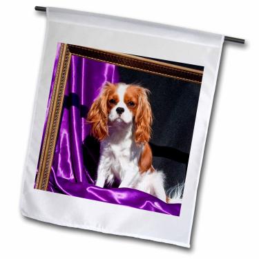 Imagem de 3dRose fl_88806_1 A Cavalier King Charles Spaniel Dog US05 ZMU0132 Zandria Muench Beraldo Bandeira de Jardim, 30 x 45 cm