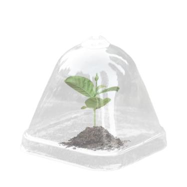 Imagem de Cúpula De Humidade Para Mudas, Cobertura Transparente Para Plantas Campânula, Kit com Mini Vasos e Tampa Térmica para Cultivo de Suculentas Jardim Interno e Externo Impermeável