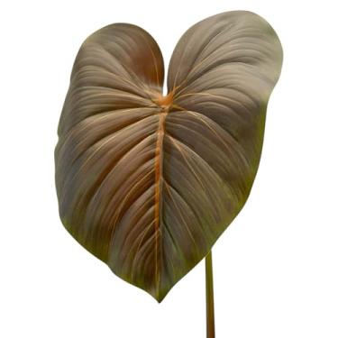 Imagem de Kit 5 Hastes de Folha de Filodendro Toque Real Silicone Grande Artificial 70cm (Marrom-escuro)