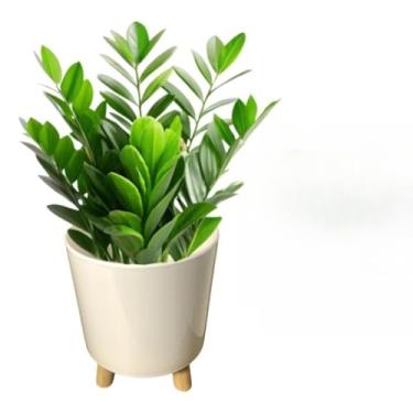 Imagem de Vaso Cachepot com Tripé de Madeira – Decoração de Plantas Naturais e Artificiais para Sala, Varanda ou Escritório(Branco)