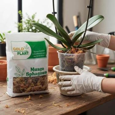 Imagem de Musgo Sphagnum Rosa Branco Orquídeas Plantas Artesanato Arranjo 10 Lit