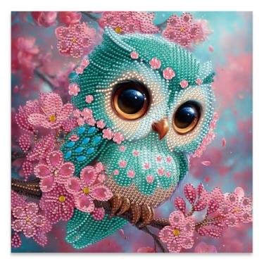 Imagem de JATOK Kits de arte de pintura de diamante, pintura de diamante de forma especial para adultos iniciantes, strass de cristal para decoração de parede de casa, presente de coruja fofa 30,5 x 30,5 cm