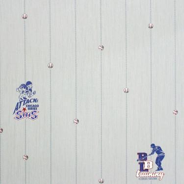 Imagem de Papel De Parede All Kids Linha Esportiva H2910405 Rolo 10m X 0,53m