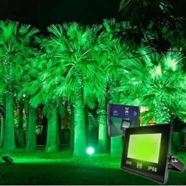 Imagem de Refletor holofote LED 30w Verde Bivolt Para Jardim Decoração Paisagism