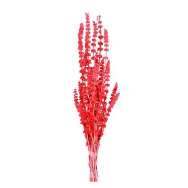 Imagem de Rubi Vermelho Desidratado - Oficina do Florista