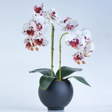 Imagem de Arranjo 2 Orquídeas Tigre em Vaso Preto Fosco Mel - Vila das Flores