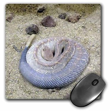 Imagem de 3dRose Mouse pad LLC 20 x 20 x 0,65 cm, cascavel (mp_34527_1)