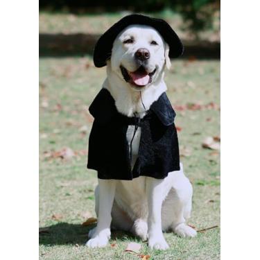 Imagem de Capa com capuz, fantasia de bruxa/bruxo para animais de estimação grandes, chapéu e capa de fantasia de Halloween, fantasia de bruxa de cachorro grande
